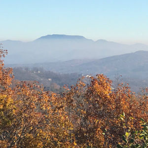 Meet your Posher, Maria paula